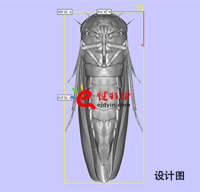 3D打印生物標(biāo)本4